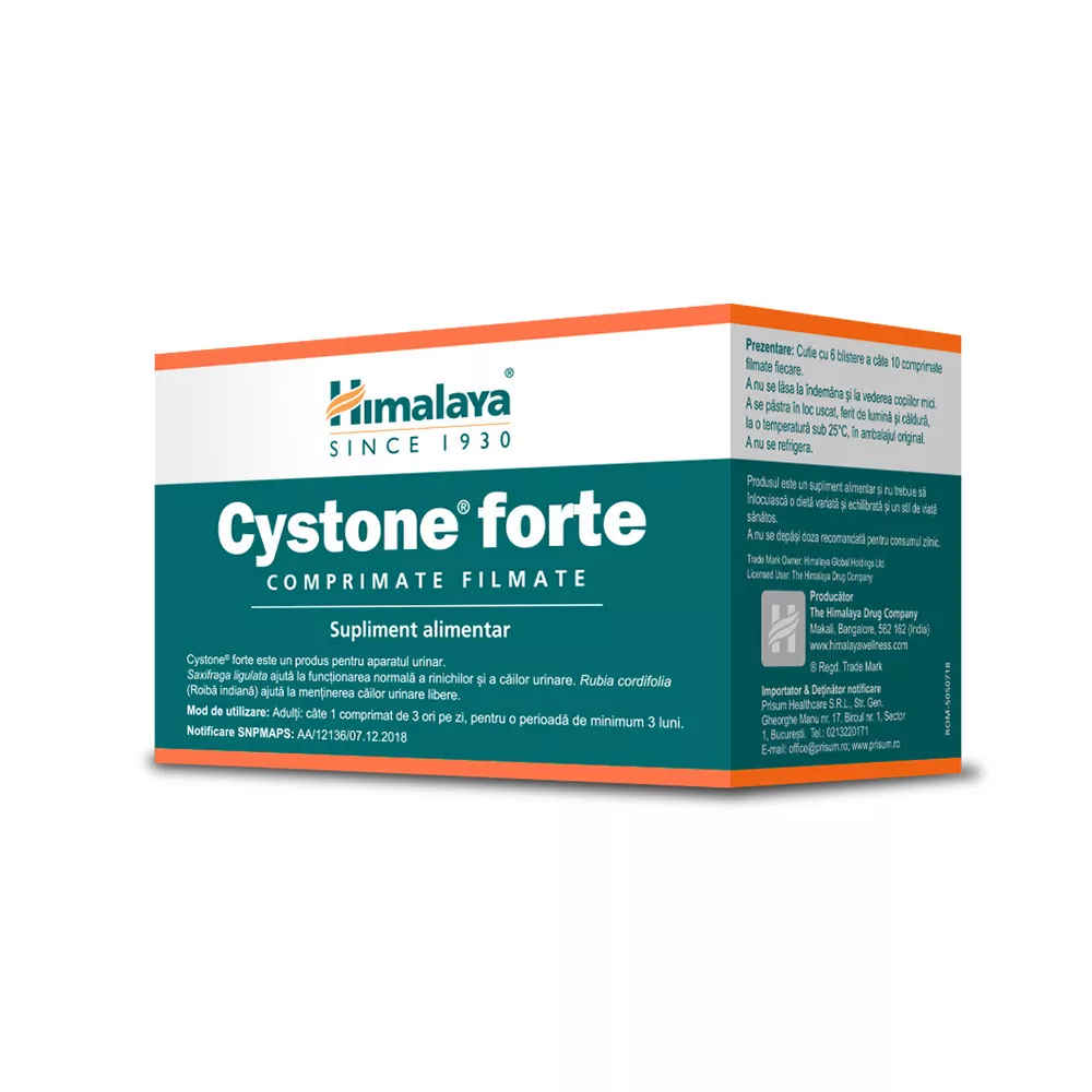 CYSTONE FORTE 60 COMPR.