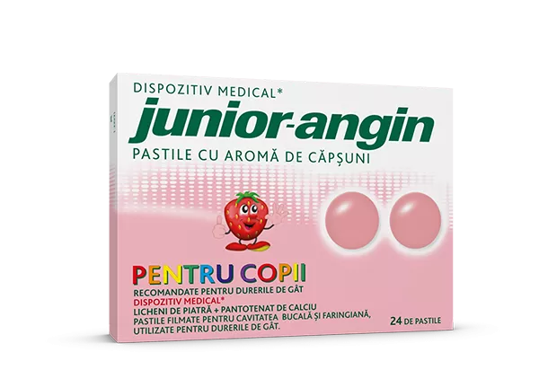 JUNIOR ANGIN X 24 PASTILE